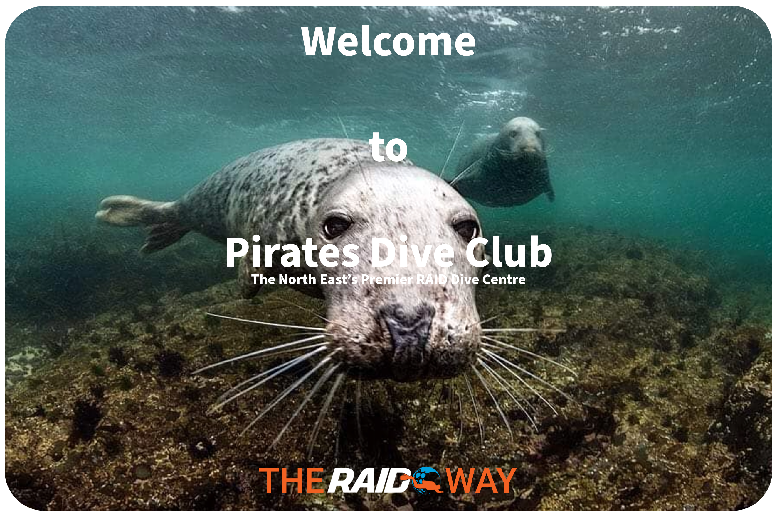 Pirates Dive Club